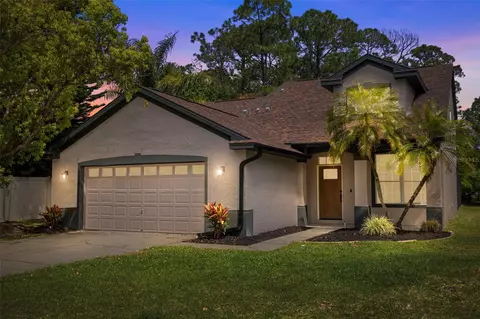 5624 Essex Ct, Palm Harbor, FL 34685