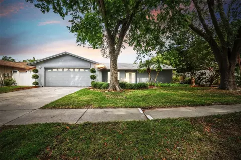 3215 Taragrove Dr, Tampa, FL 33618