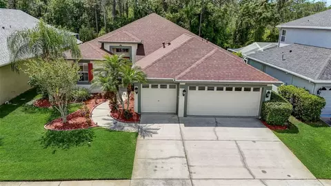 12712 Tar Flower Dr, Tampa, FL 33626