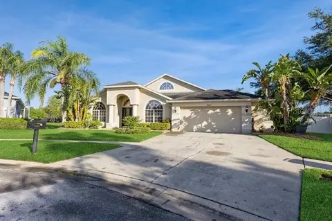 15221 Hammock Chase Ct, Odessa, FL 33556