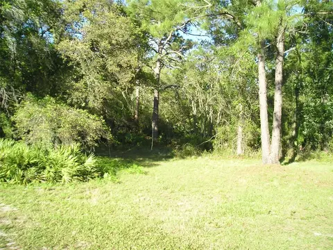 State Road 33, Polk City, FL 33868