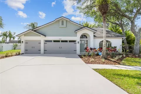 8701 Maple Lake Pl, Tampa, FL 33635