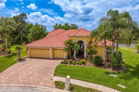 17922 Arbor Haven Dr, Tampa, FL 33647