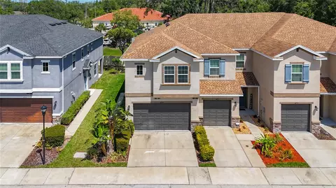 6717 Citrus Creek Ln, Tampa, FL 33625