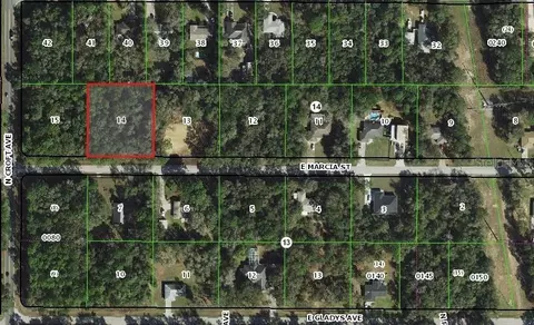 2955 E Marcia St, Inverness, FL 34453
