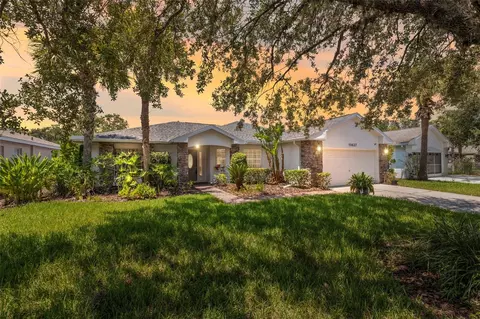 10637 Collar Dr, San Antonio, FL 33576