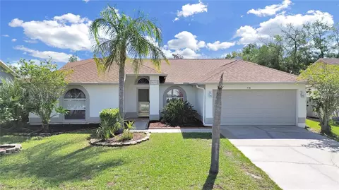 538 Rapid Falls Dr, Brandon, FL 33511