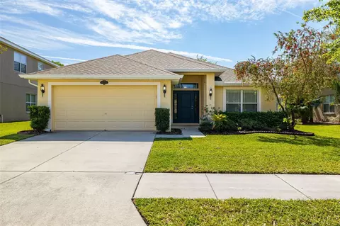 20225 Natures Spirit Dr, Tampa, FL 33647