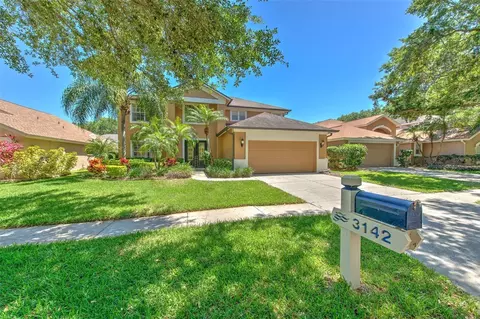 3142 Bent Creek Dr, Valrico, FL 33596