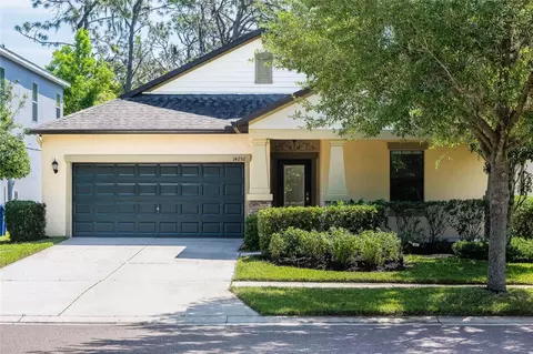 14252 Blue Dasher Dr, Riverview, FL 33569