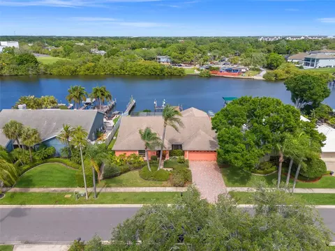 4167 Saltwater Blvd, Tampa, FL 33615