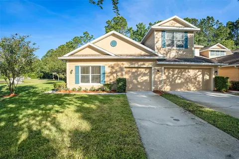 20422 Harvest Oak Ct, Tampa, FL 33647