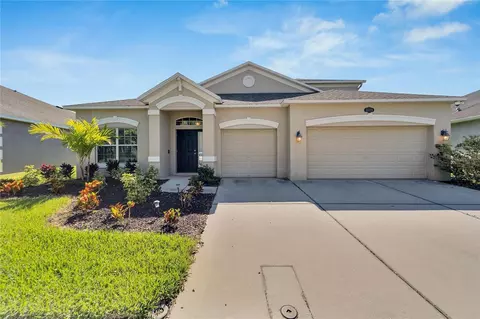 20009 Painting Nature Ln, Tampa, FL 33647
