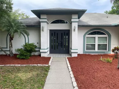23541 Forest View Dr, Land O Lakes, FL 34639