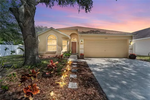 13721 Staghorn Rd, Tampa, FL 33626