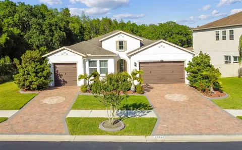 32053 Firemoss Ln, Wesley Chapel, FL 33543