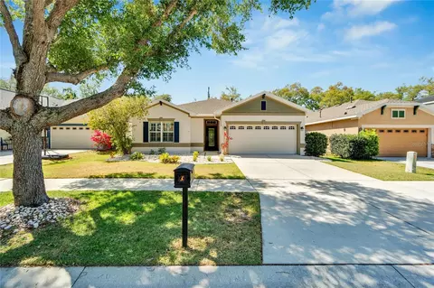 15856 Starling Water Dr, Lithia, FL 33547