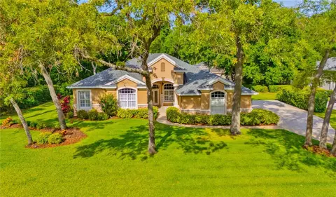 6125 Audubon Manor Blvd, Lithia, FL 33547