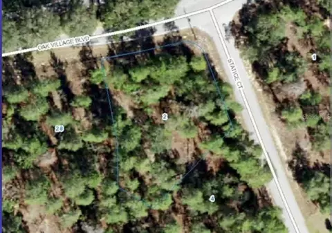 2 Statice Ct, Homosassa, FL 34446