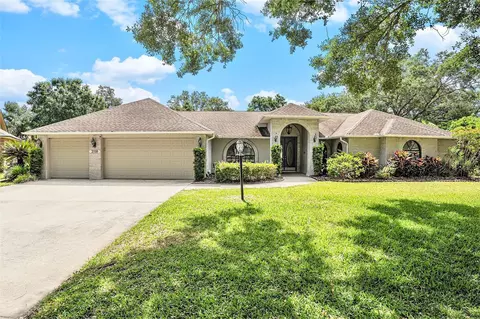 2510 Culbreath Cove Ct, Valrico, FL 33596