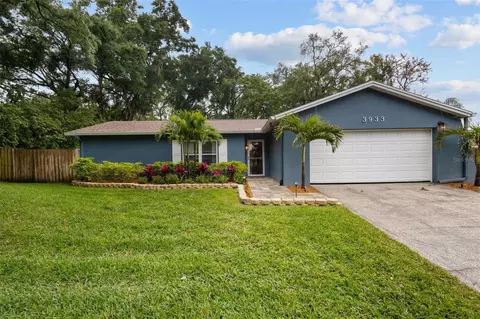 3933 Oak Hammock Dr, Brandon, FL 33511