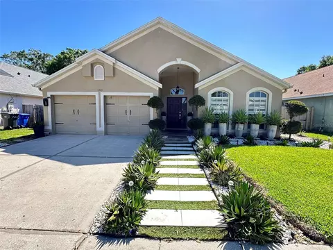 11723 Carrollwood Cove Dr, Tampa, FL 33624