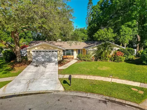 5001 Barrowe Pl, Tampa, FL 33624
