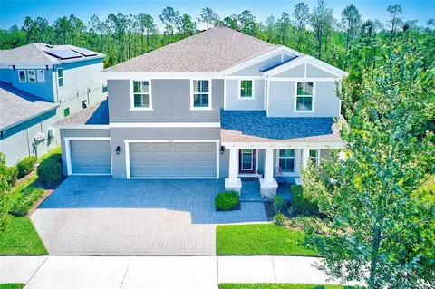 4220 Amped Way, Land O Lakes, FL 34638