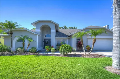 5418 Pine Bay Dr, Tampa, FL 33625