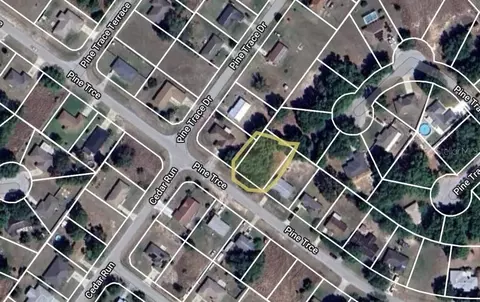 silver springs shores, Ocala, FL 34472