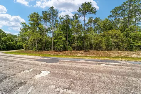 10291 N Sherman Dr, Citrus Springs, FL 34434