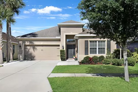 17525 Buckingham Garden Dr, Lithia, FL 33547