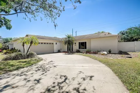 13228 Moran Dr, Tampa, FL 33618