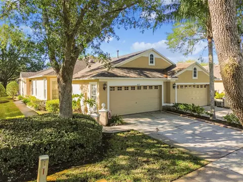 8619 Snowy Owl Way, Tampa, FL 33647