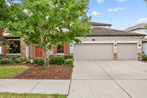 10527 Mistflower Ln, Tampa, FL 33647