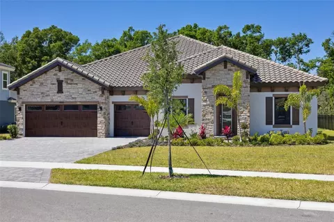 10183 Meadowrun Dr, Lithia, FL 33547