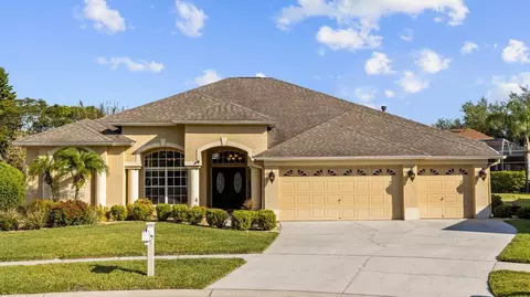19127 Wind Dancer St, Lutz, FL 33558