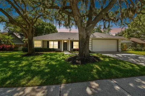 15109 Lynx Dr, Tampa, FL 33624