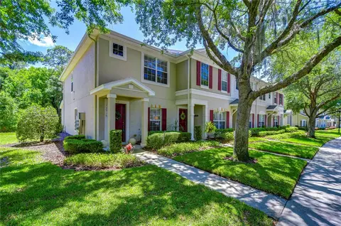 15919 Fishhawk View Dr, Lithia, FL 33547