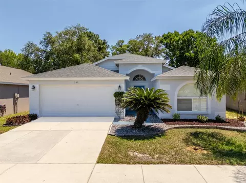 539 Royal Ridge St, Valrico, FL 33594