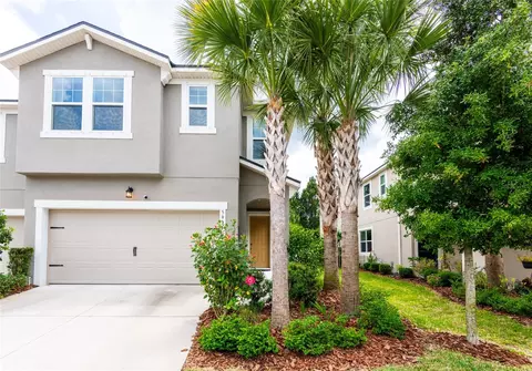 5936 Grand Sonata Ave, Lutz, FL 33558