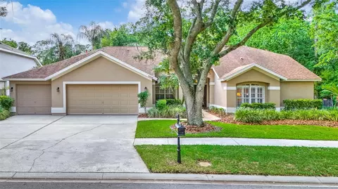 10508 Chambers Dr, Tampa, FL 33626