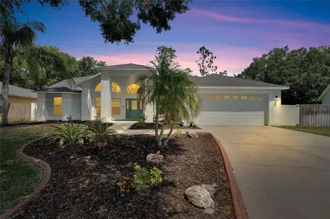 9818 Sunnyoak Dr, Riverview, FL 33569