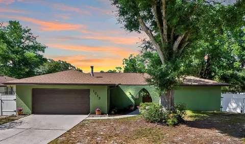 1013 Celtic Ct, Brandon, FL 33510