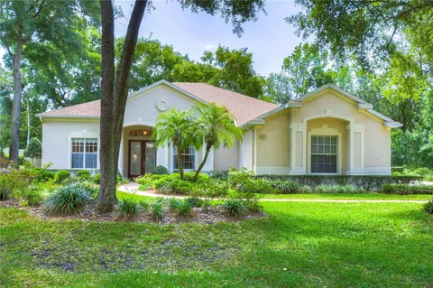 407 Forest Breeze Ave, Brandon, FL 33511