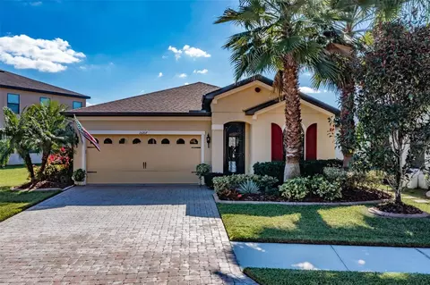 15207 Antilles Isle Ln, Tampa, FL 33647
