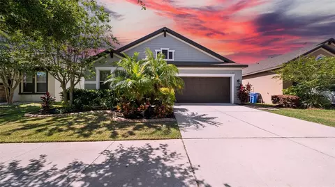 11341 American Holly Dr, Riverview, FL 33578