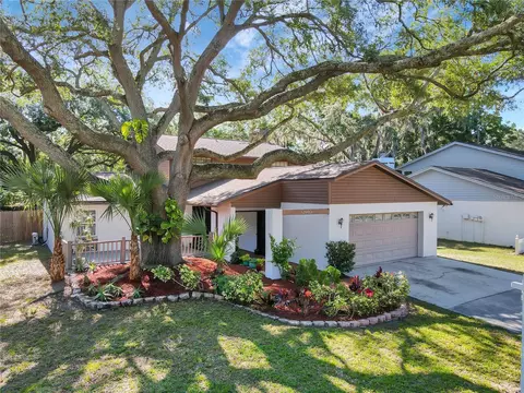 12603 Rain Forest St, Temple Terrace, FL 33617