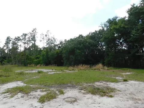 118 Orchidgrove Ln, Dover, FL 33527
