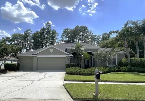 16912 Filly Ln, Odessa, FL 33556